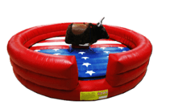 Home 2 bull_1748335156