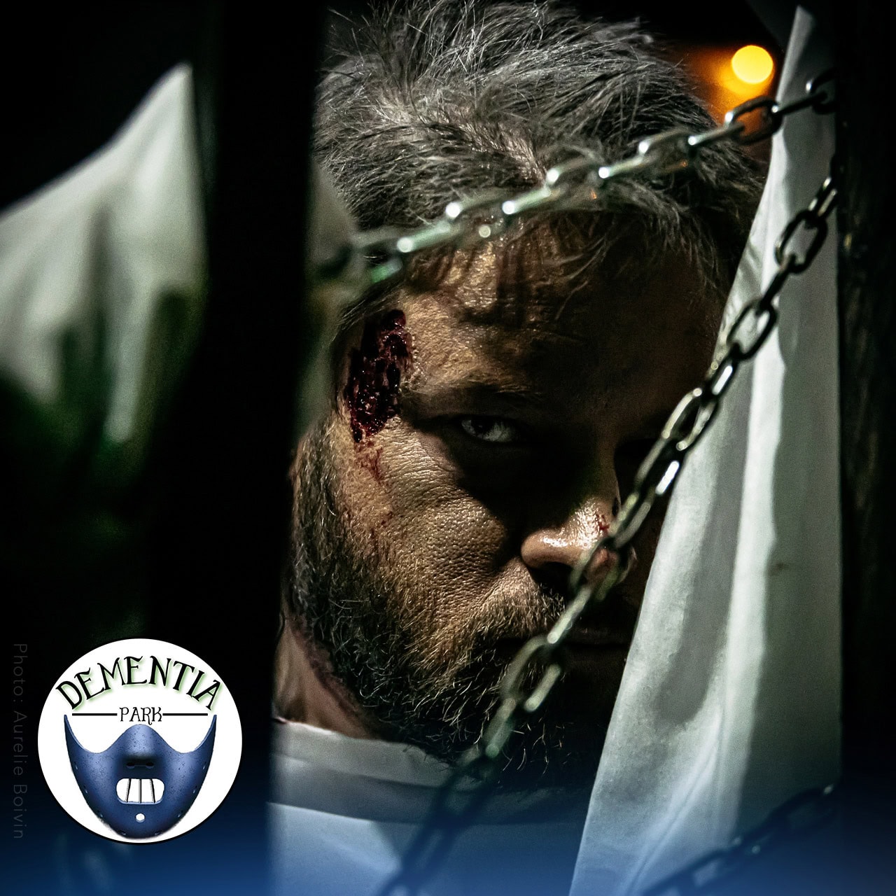 08_Dementia_©AurelieBoivin_Perso_Ed-Jeremie_Delaboudiniaire