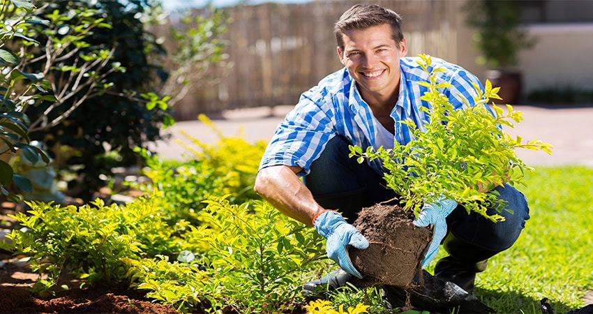 Lawn Panther Landscaping