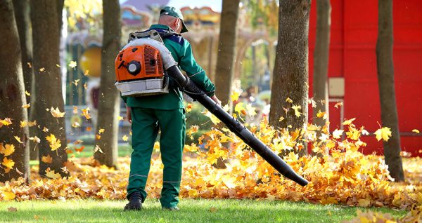 Spring and Fall Clean up by Lawn Panther