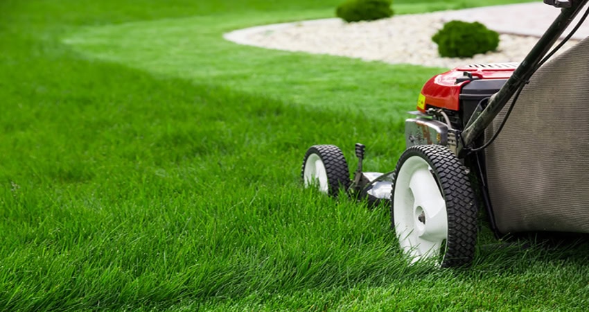 Lawn Panther Landscaping - Fuquay Varina, Holly Springs, Apex area
