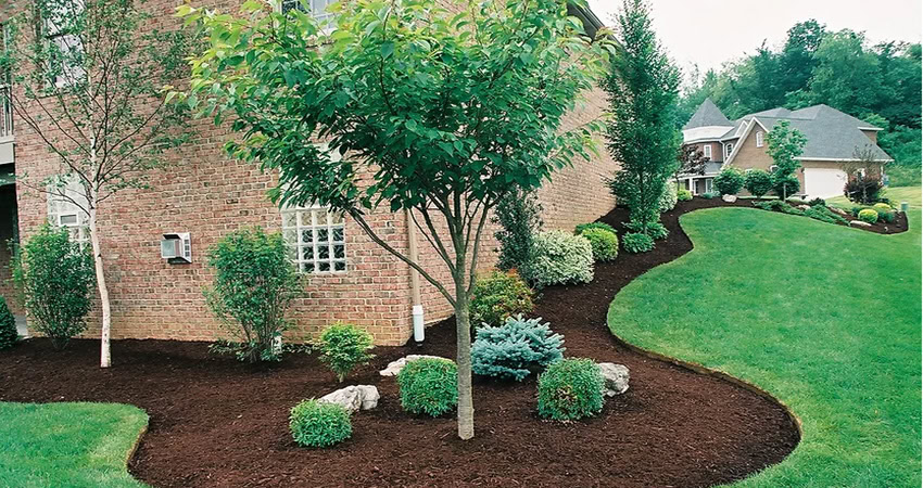 Lawn Panther Landscaping