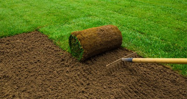 Sod and turf installation by Lawn Panther in Willow Spring, NC