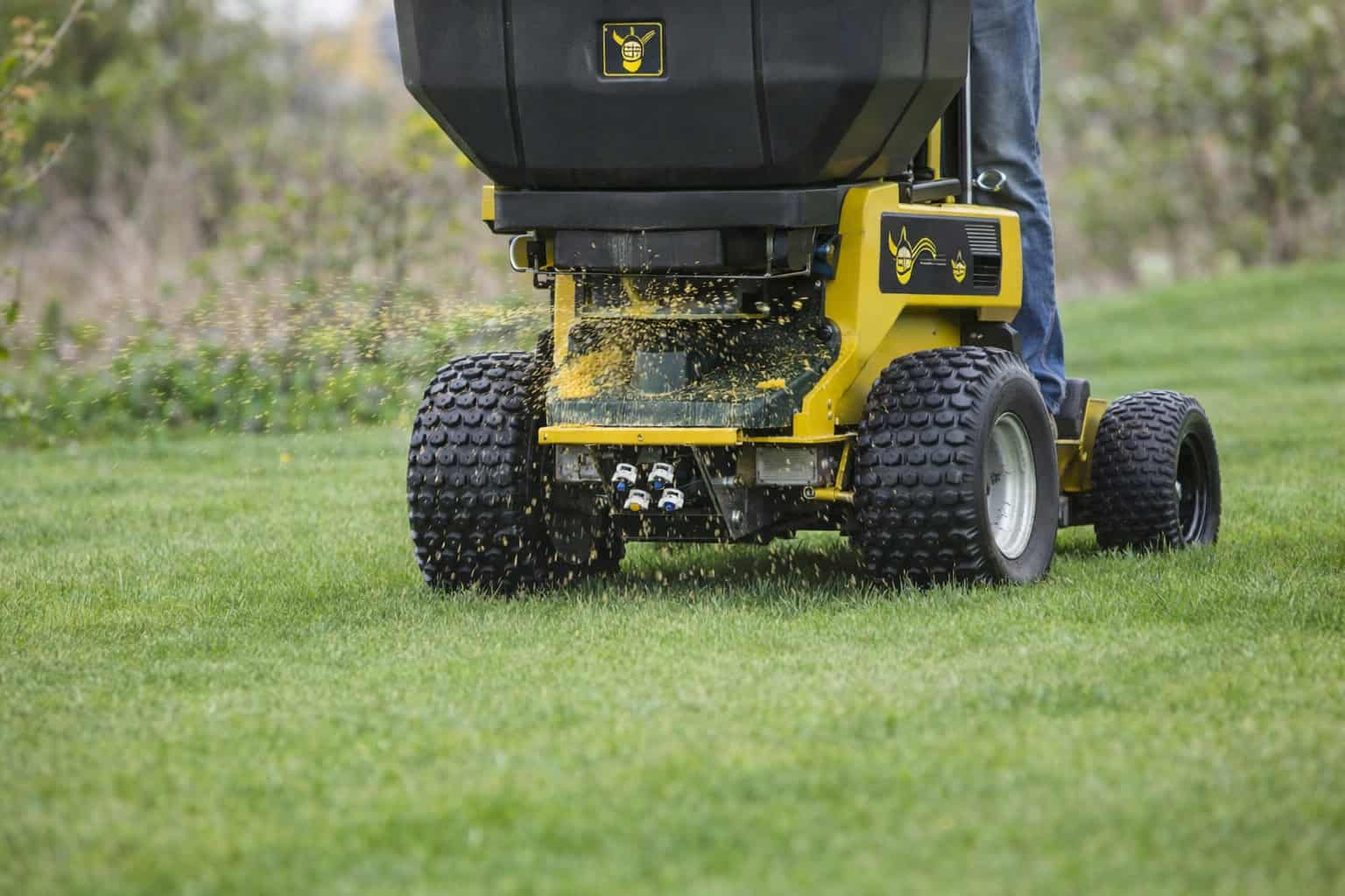 Weed control in Lillington NC lawn Fertilizer spreader in action on lawn