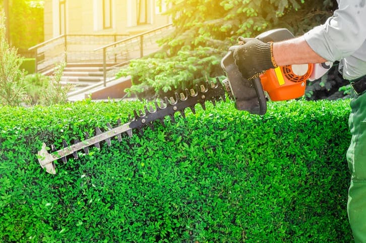 Person trimming a hedge Landscape Installation Lawn Panther Landscaping, Turf & Weed Control - Fuquay-Varina