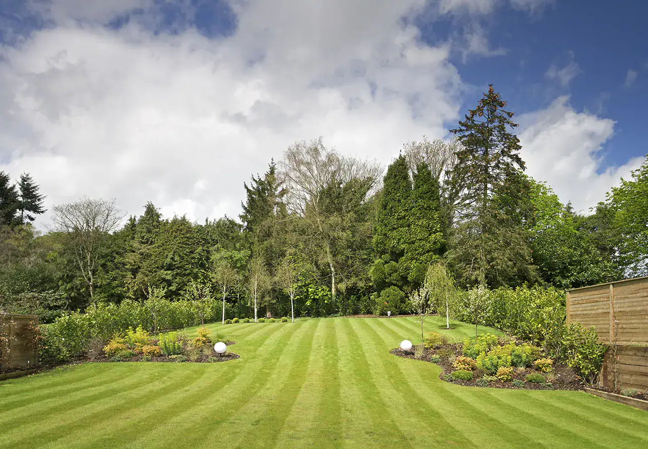 Lawn mowing and lawn care in Holly Springs NC Lawn mowing and lawn care in Holly Springs NC