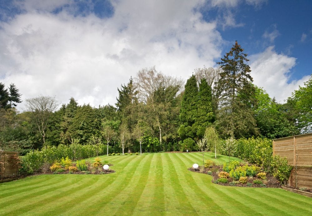 Professionally mowed lawn by L:awn Panther in