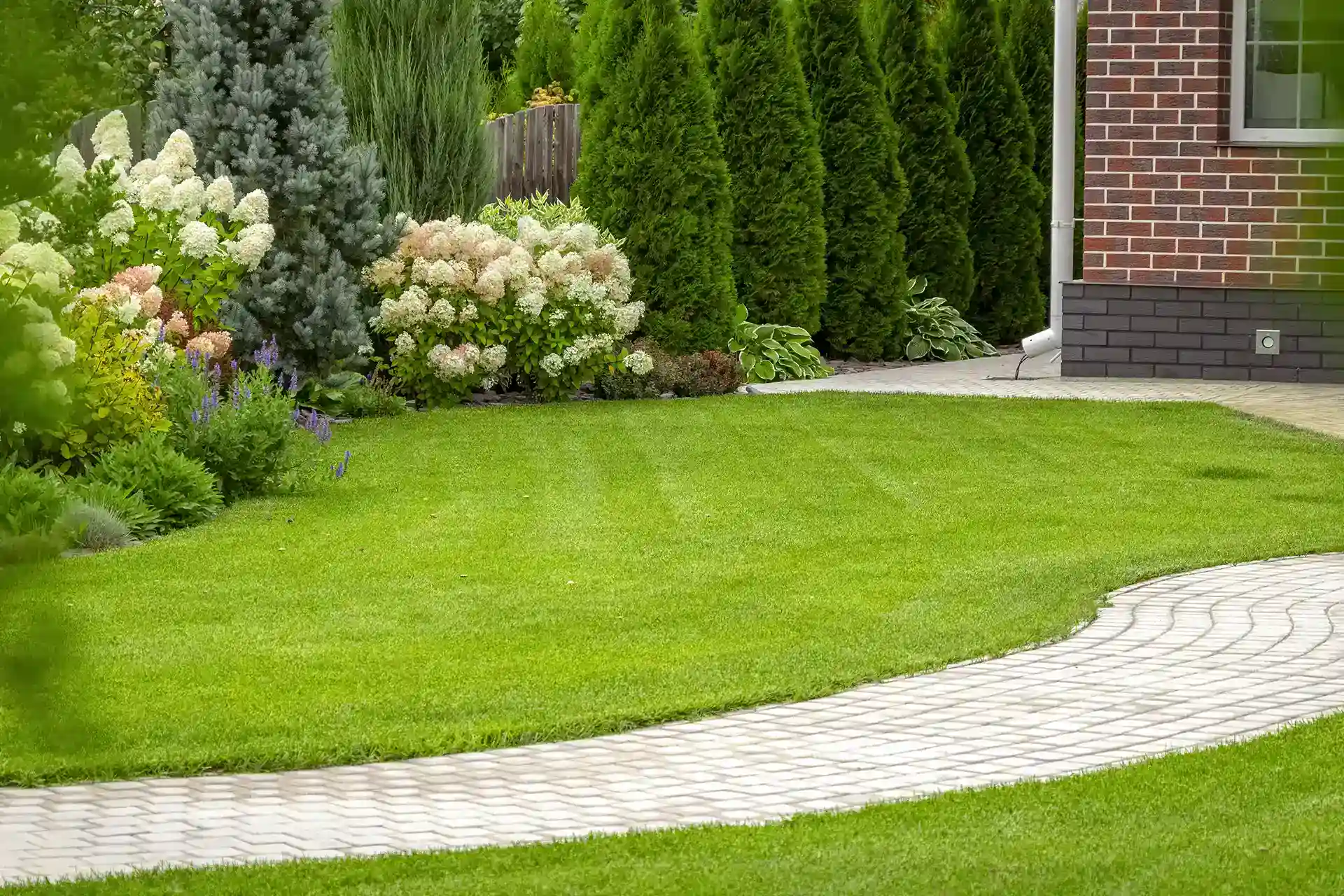 Shrubs installed by Lawn Panther in NC