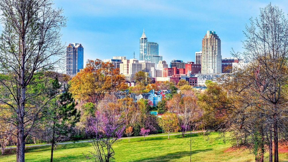 South Raleigh, NC 27603 — weed control and lawn care service area for Lawn Panther