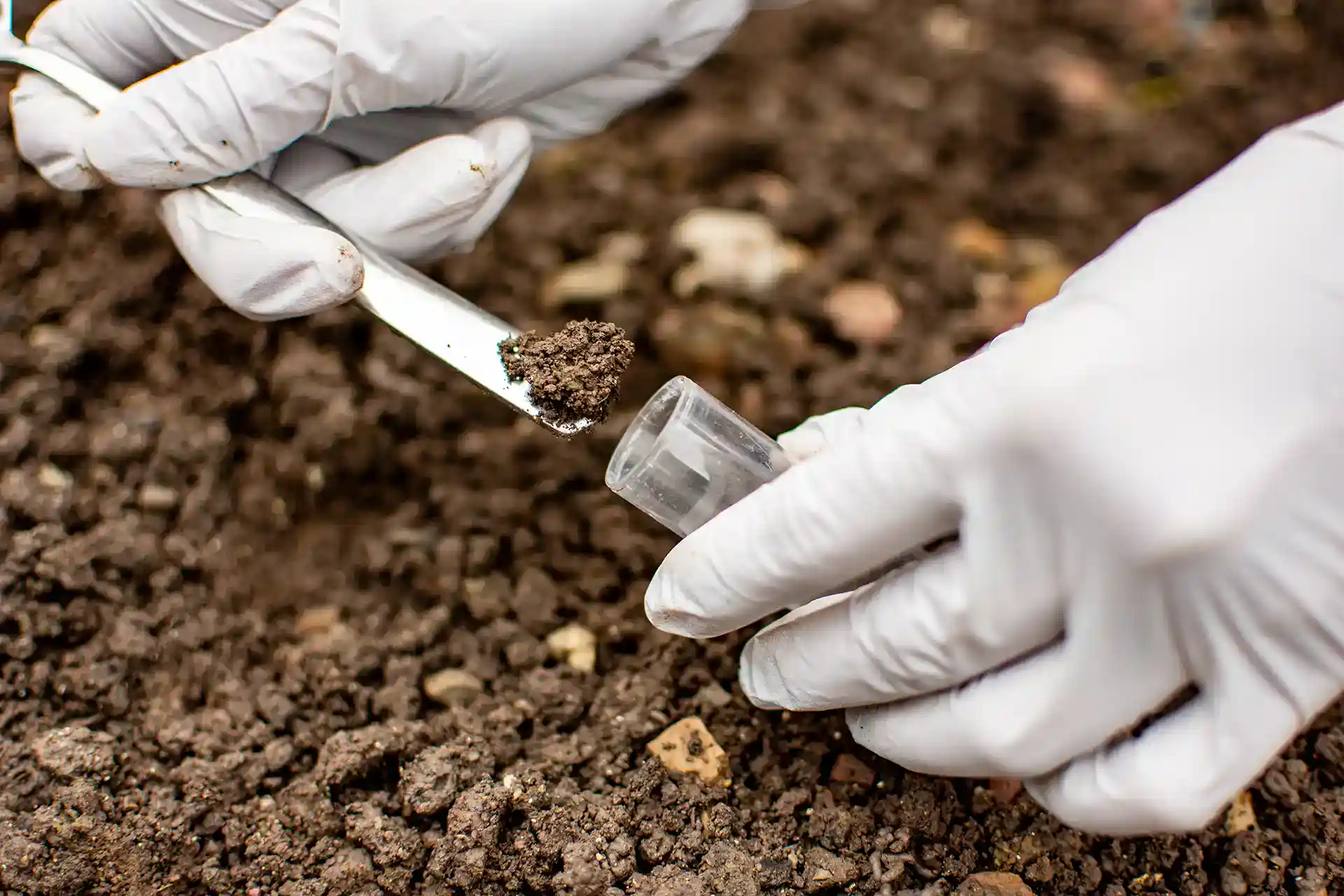 Taking a soil sample to test pH at home
