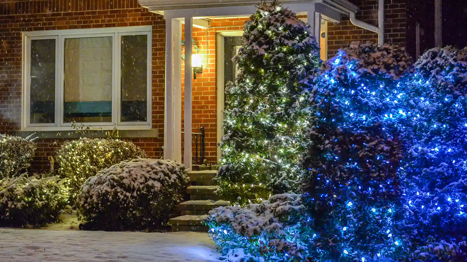 Holiday lighting installed on shrubs outside a Holly Springs home by Lawn Panther