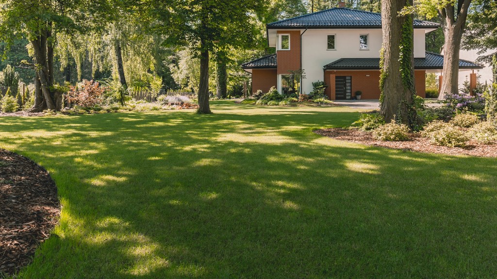 Fescue lawn outside the house