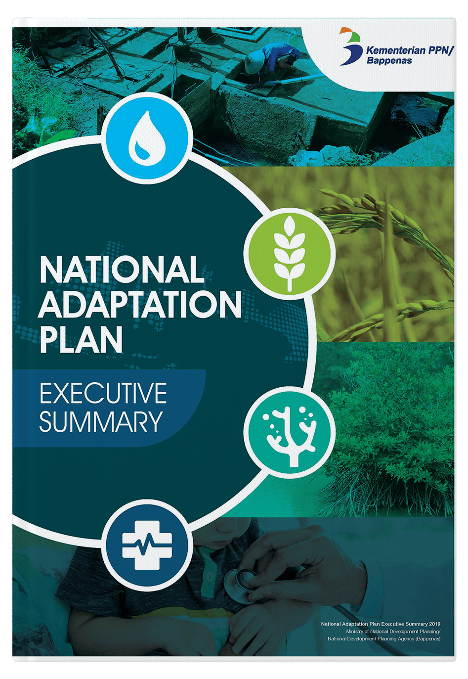 Executive Summary – National Adaptation Plan 2019