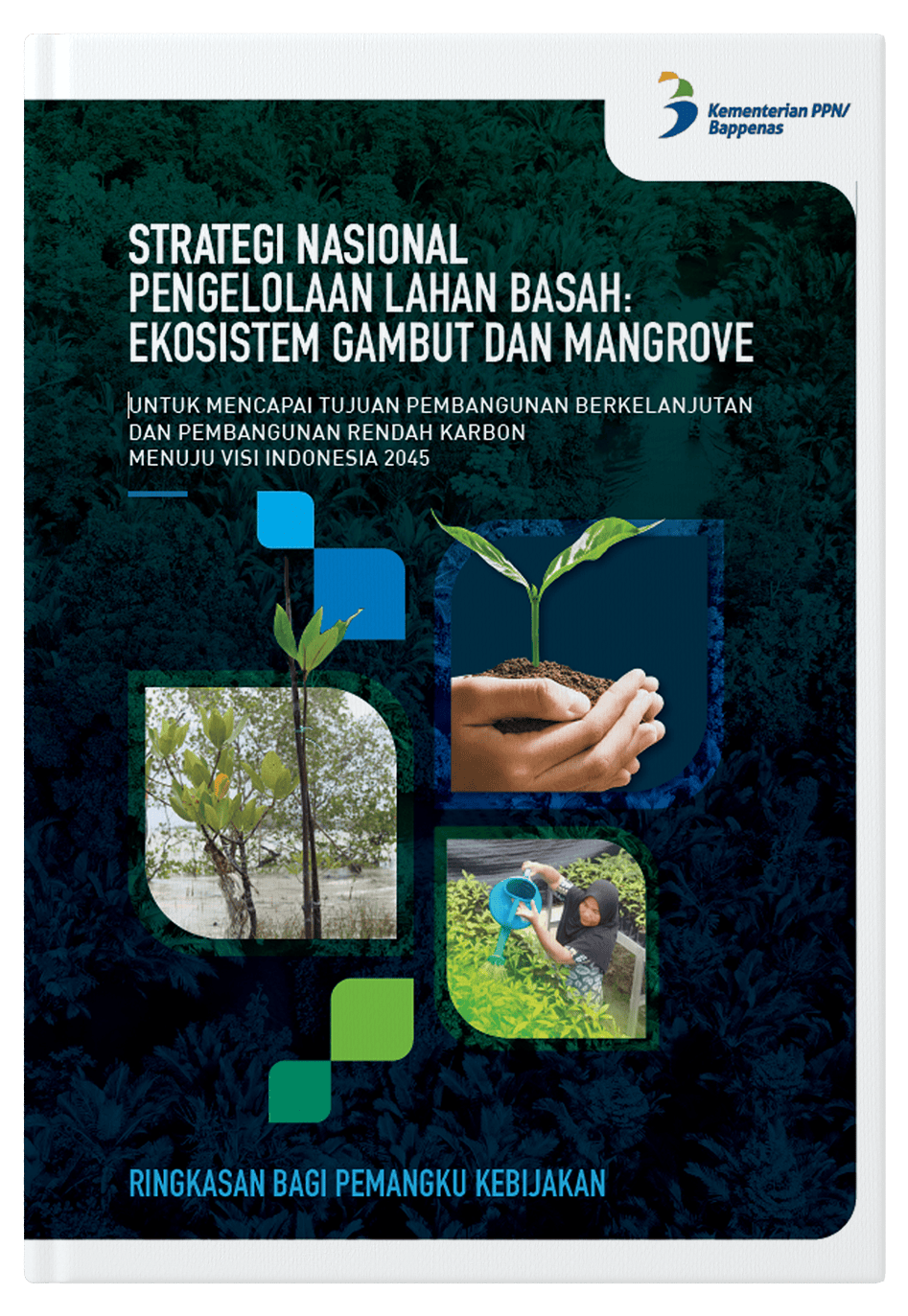 Strategi Nasional Pengelolaan Lahan Basah: Ekosistem Gambut Dan Mangrove (Ringkasan Bagi Pemangku Kebijakan)