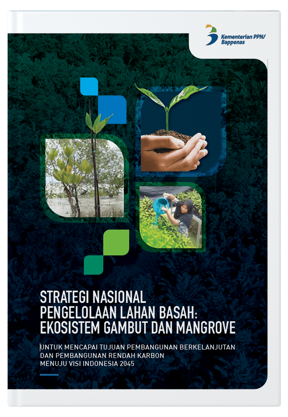 Strategi Nasional Pengelolaan Lahan Basah: Ekosistem Gambut Dan Mangrove