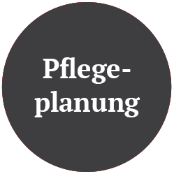 Pflegeplanung