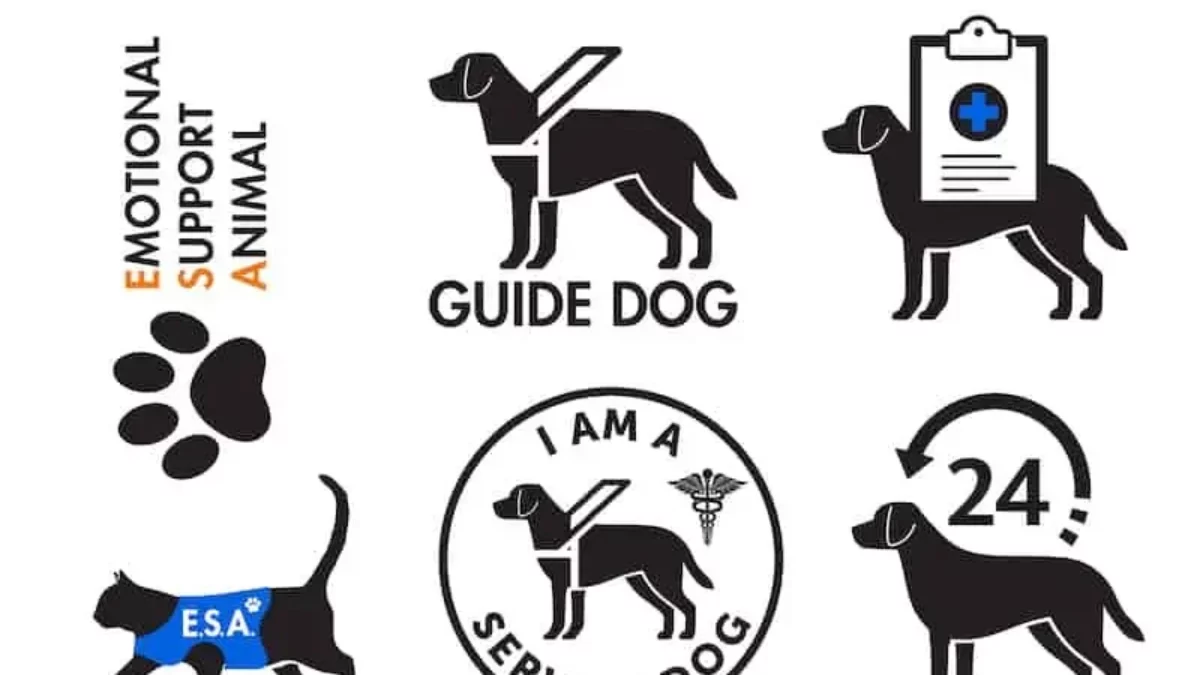 Emotional Support Animals Test States Patience Leonine Public Affairs emotional-support-animals-test-states-patience-leonine-public-affairs