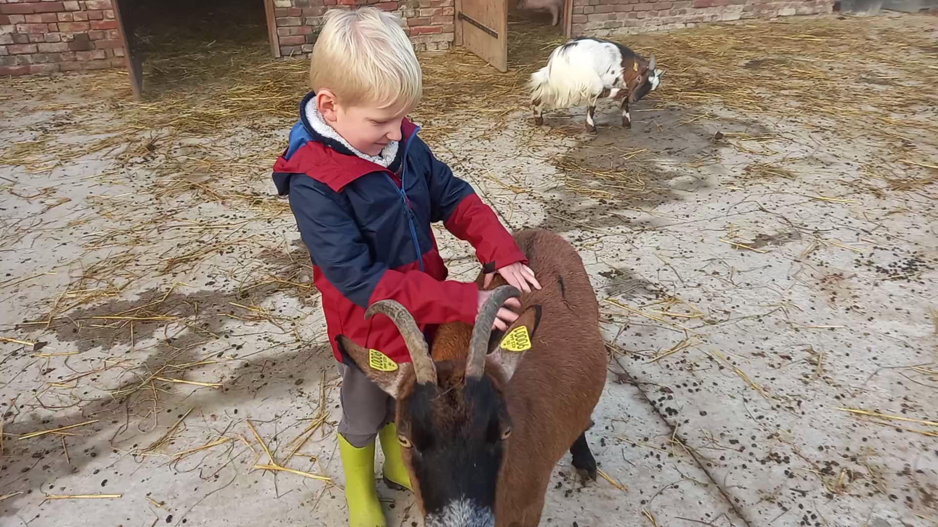 20211009_091731_Moment