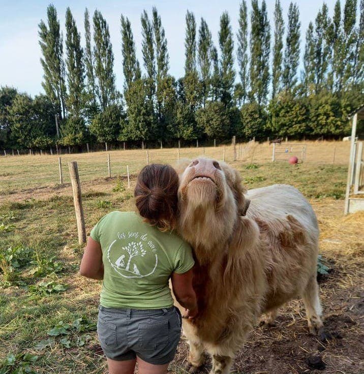 470212136_1562010917779763_8552781536295741572_n.MODIFjpg