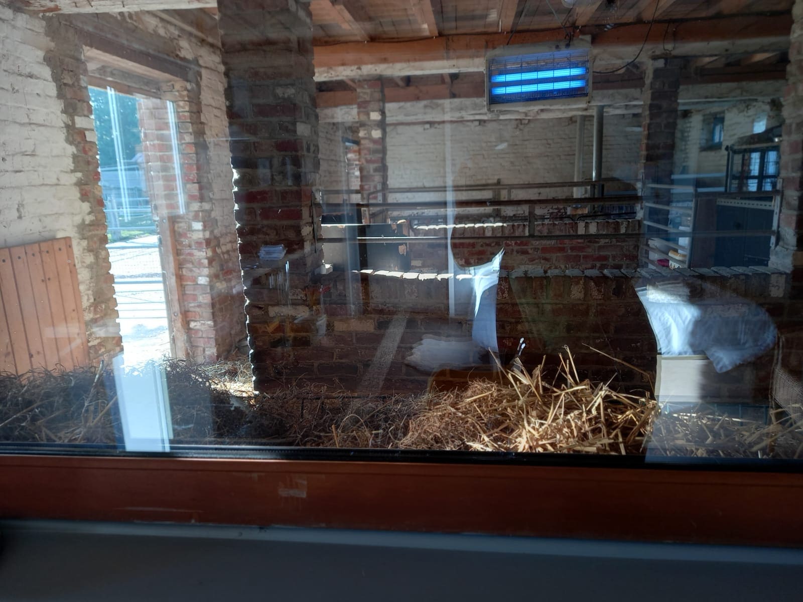 WhatsApp Image 2025-05-03 at 21.18.59