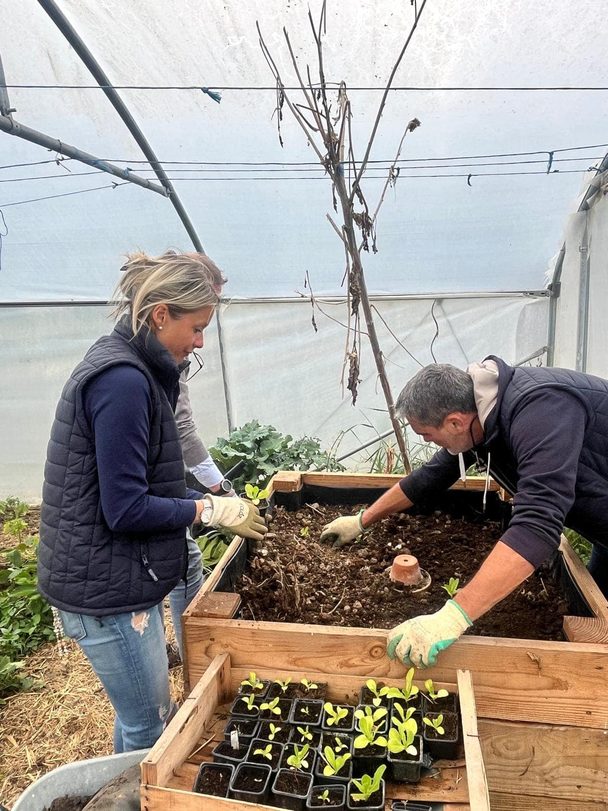 WhatsApp Image 2025-10-22 à 14.42.48_5065337f