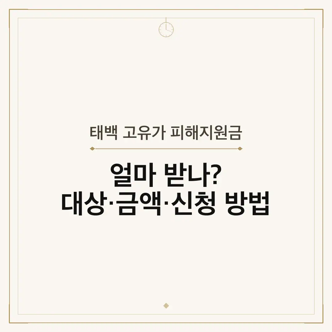 태백 고유가 피해지원금