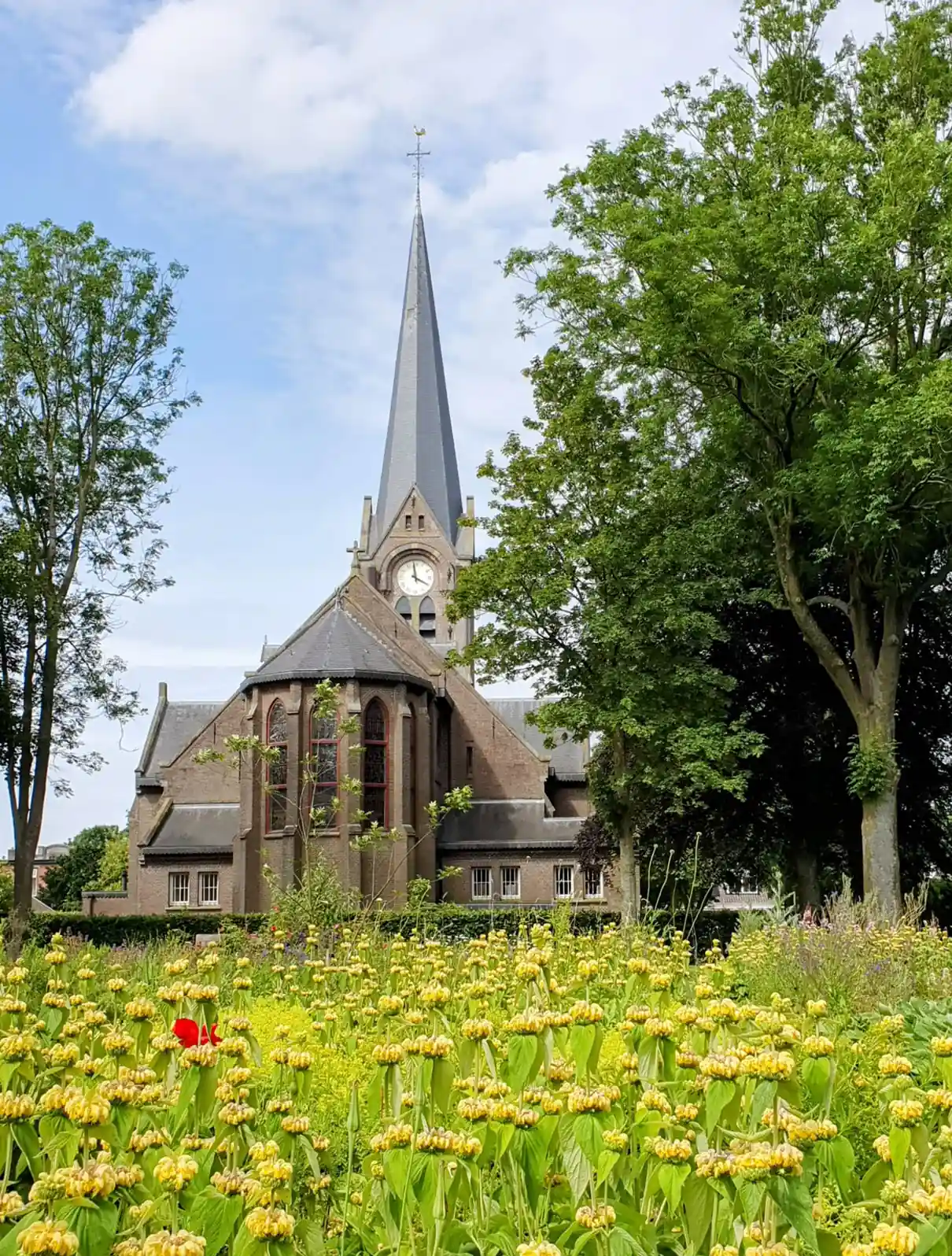 Sint Willibrorduskerk in Kloosterburen