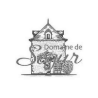 domainedesegur