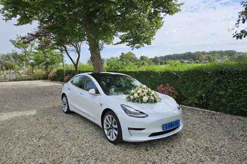 Bruiloft taxivervoer witte Tesla