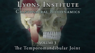 Biodynamic Craniosacral: TMJ