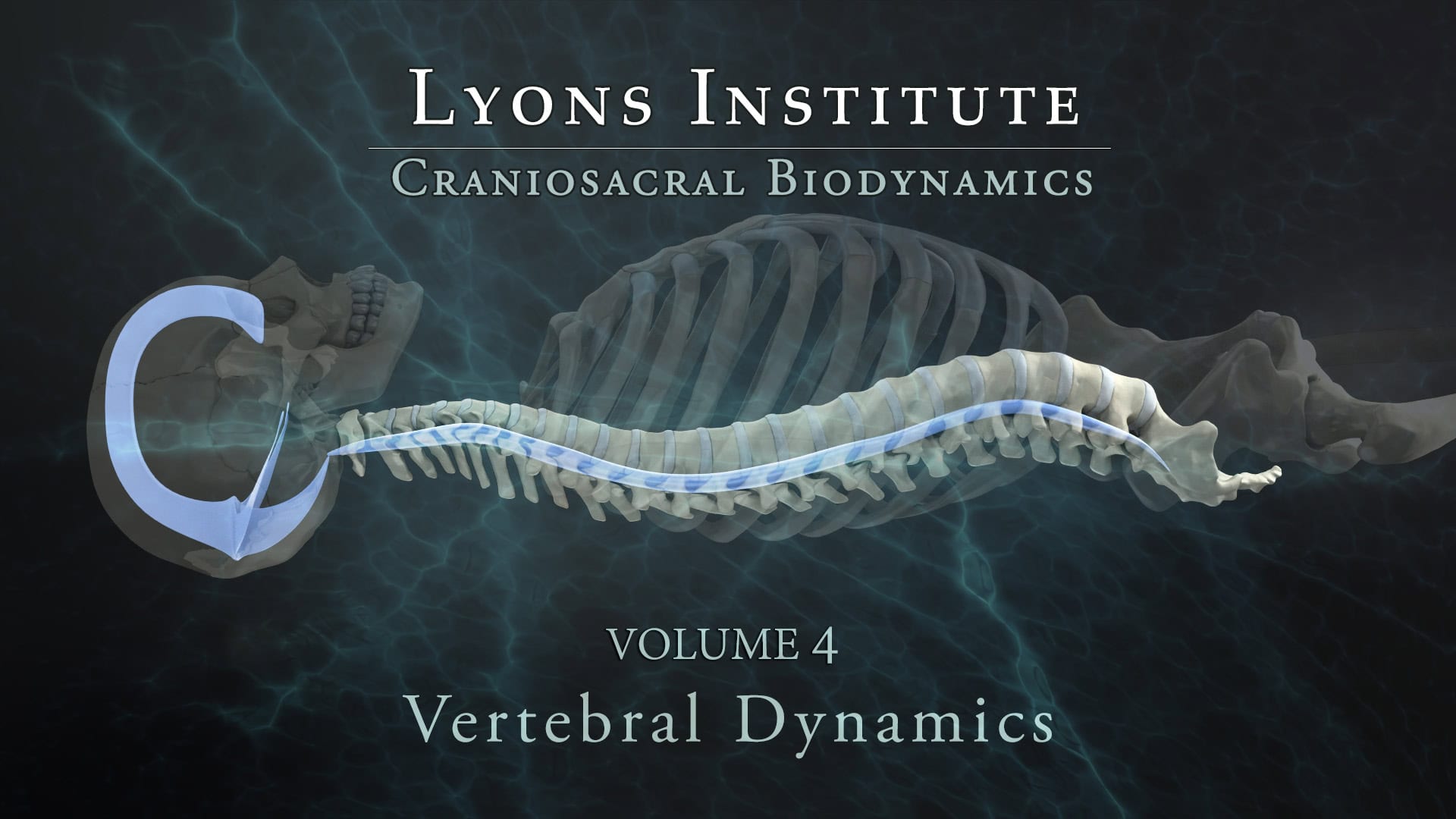 Biodynamic Craniosacral: Spinal Dynamics