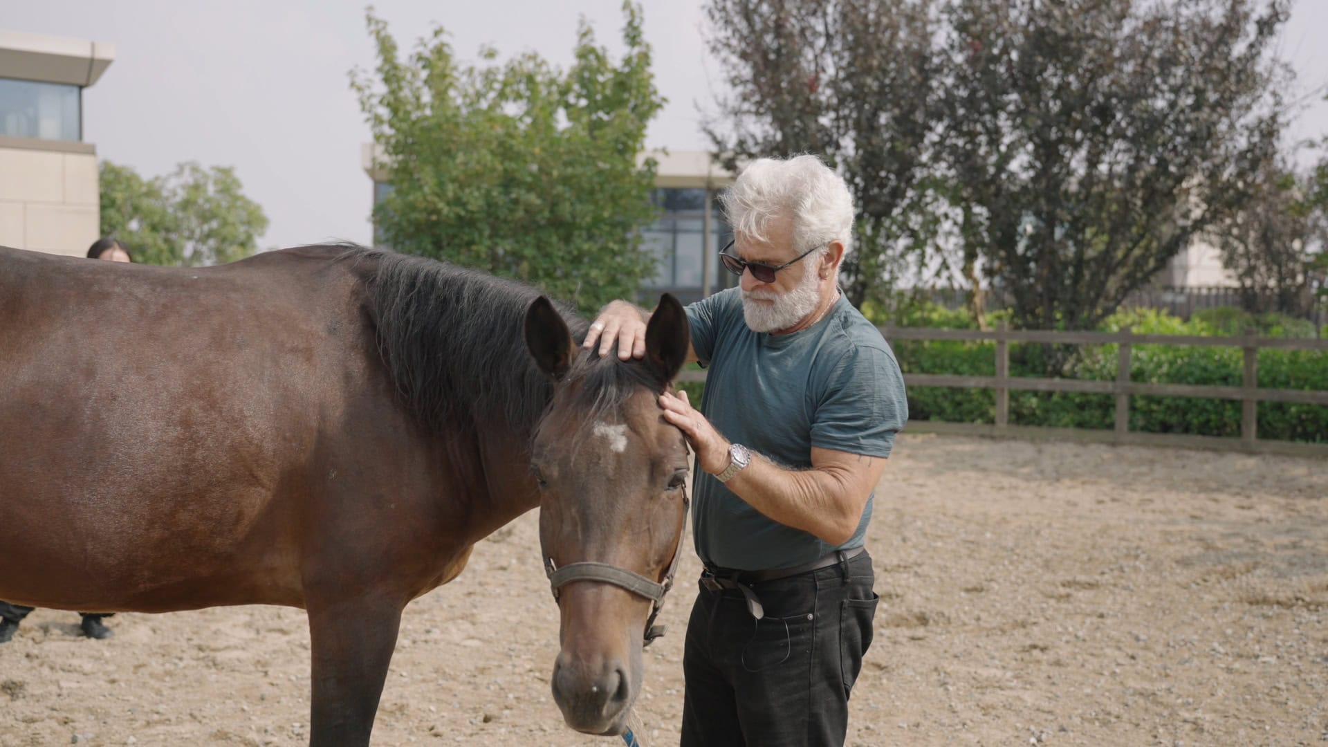 Judah performing equine craniosacral therapy