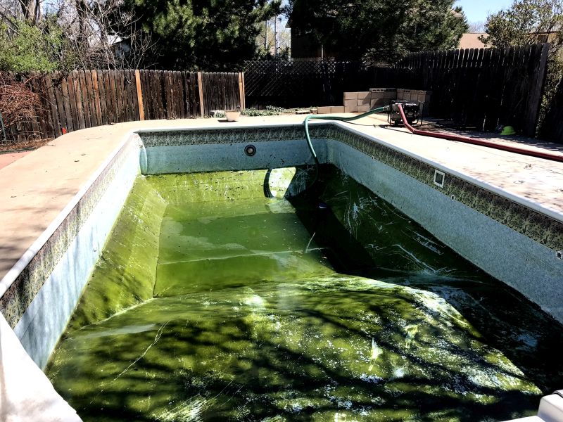 Mack Land LLC - Longmont, CO Pool Removal