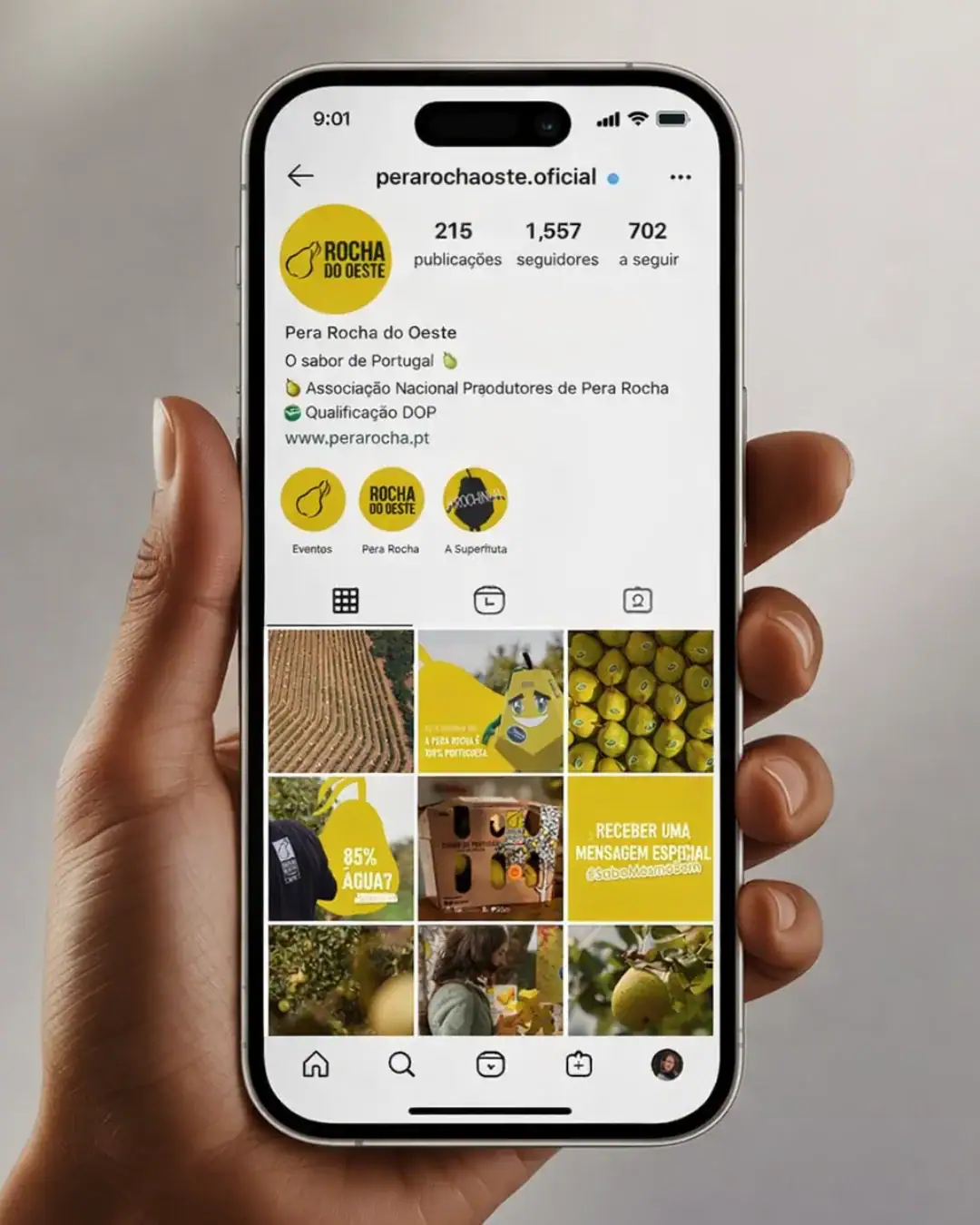 social-media-trabalho-realizado-marcas-renome