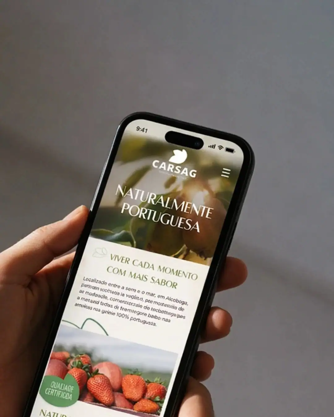 website-institucinal-realizado-magnetize