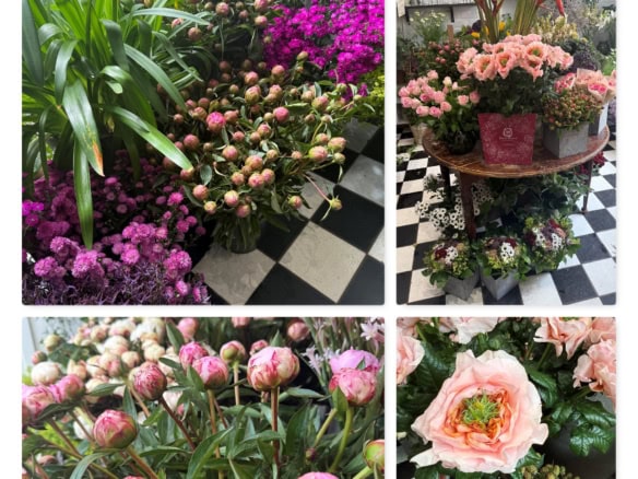 Blommer bilder