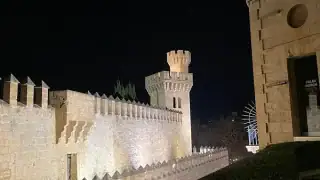 Майорка-вечерняя-пальма-1