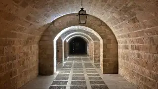 Майорка-вечерняя-пальма-6