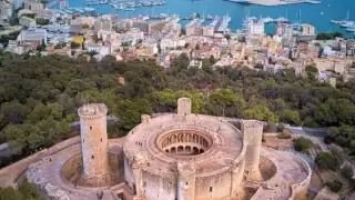 Майорка-большая-пальма-1