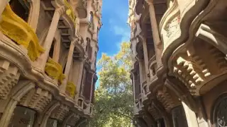 Майорка-большая-пальма-2