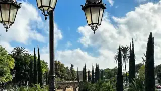 Майорка-большая-пальма-3