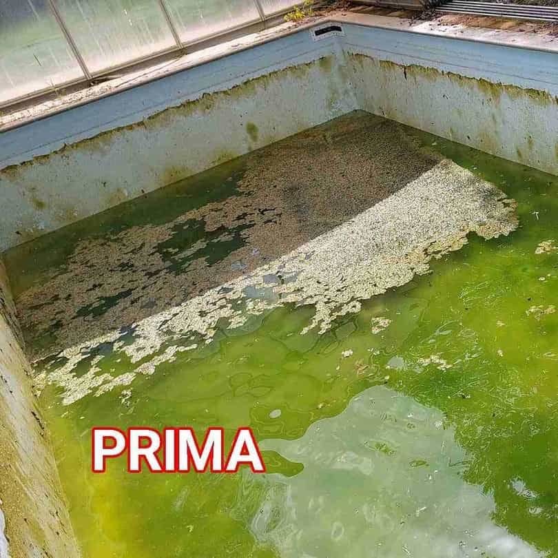 Acqua Verde In Piscina