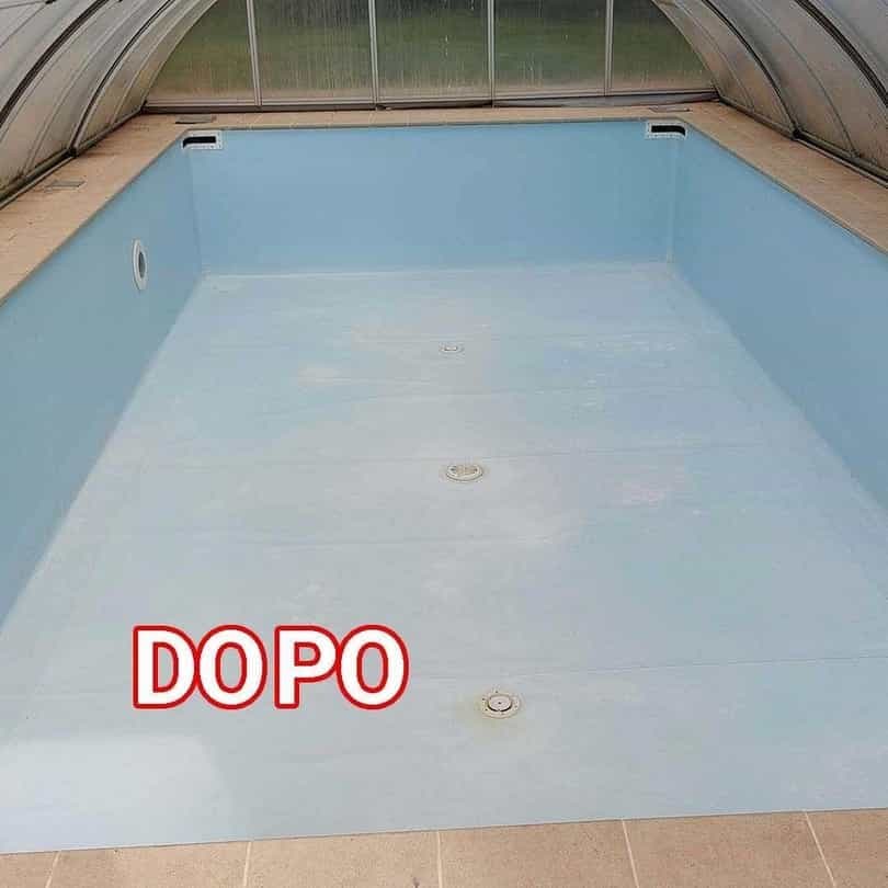 Alghe In Piscina Cosa Fare