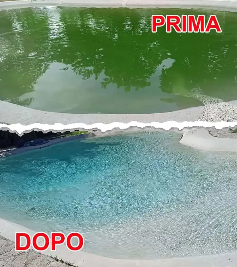 Eliminare Alghe Piscina