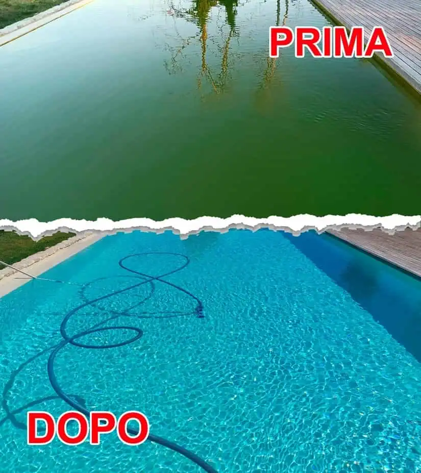 Piscina Acqua Verde Cosa Fare