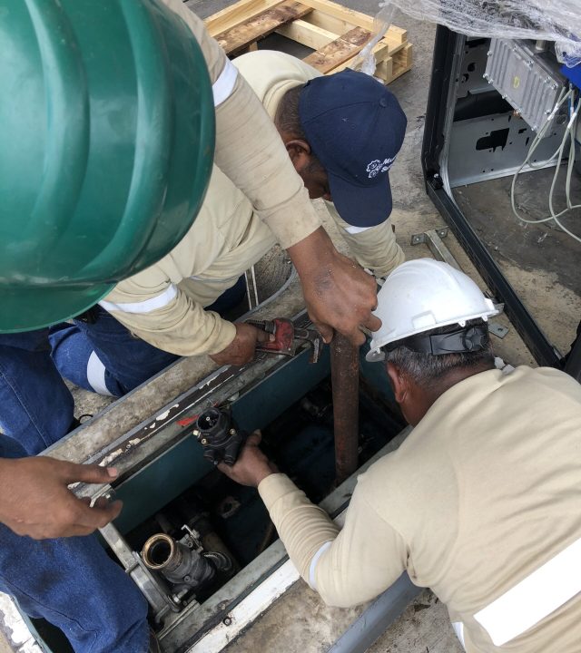 IMG 1239 Scaled - IMG_1239