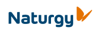 Prácticas de master en empresa Naturgy