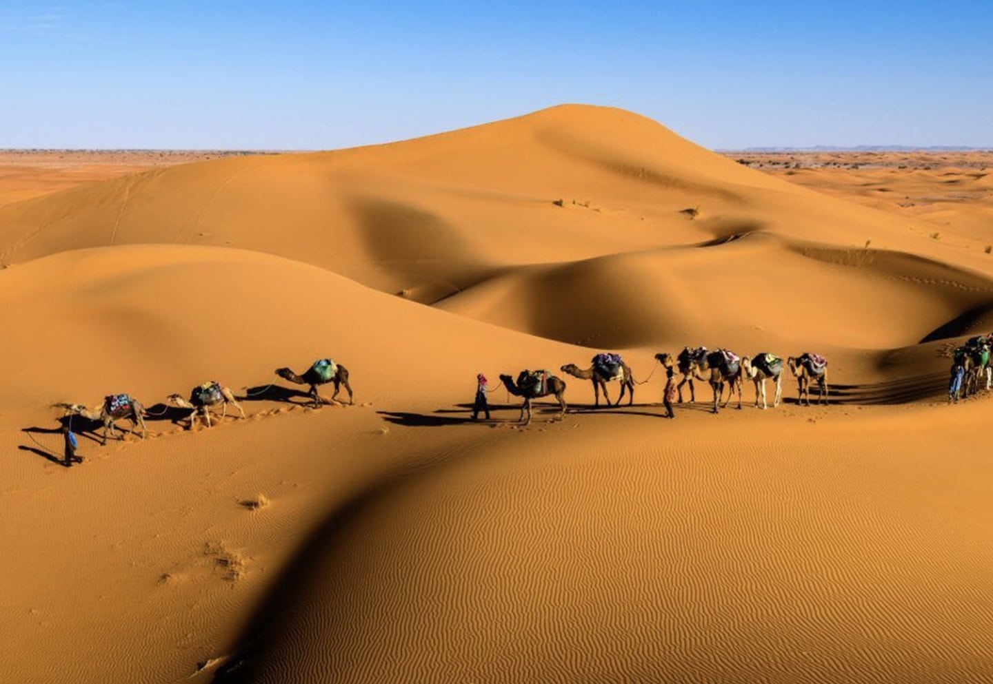 568a9cd7d881368d4d6705d25fd050a4_desert-safari-1-2-1440-c-100