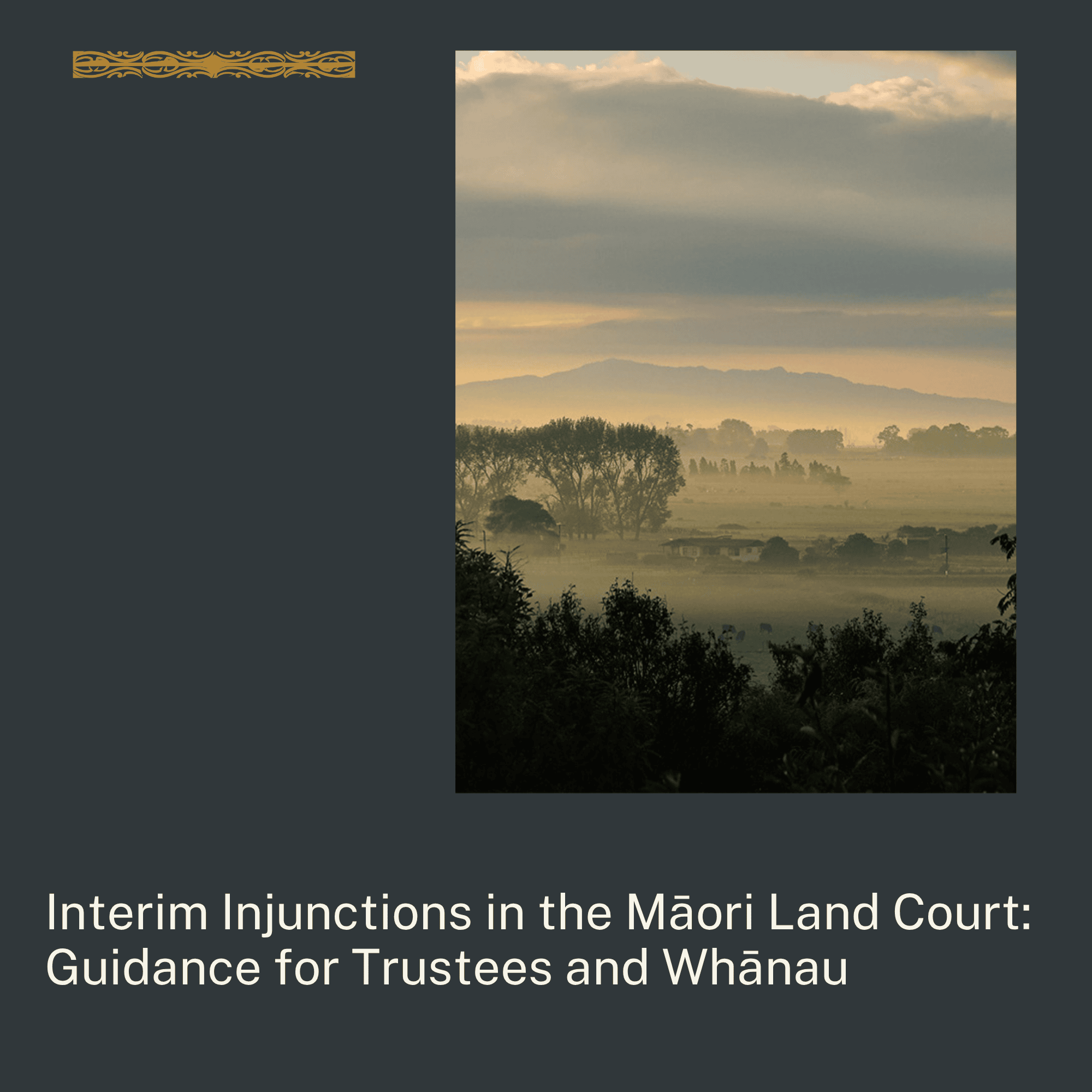 Interim Injunctions in the Māori Land Court – A Guide for Trustees and Whānau