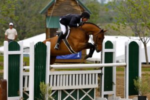 34_peter_pletcher_960x639
